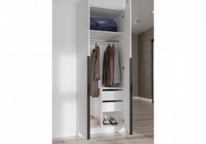 Шкаф платяной Широн в Тарко-Сале - tarko-sale.ok-mebel.com | фото 3