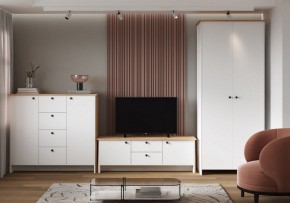 Шкаф платяной Теодора в Тарко-Сале - tarko-sale.ok-mebel.com | фото 4