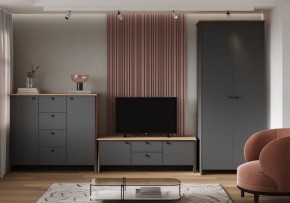 Шкаф платяной Теодора в Тарко-Сале - tarko-sale.ok-mebel.com | фото 3