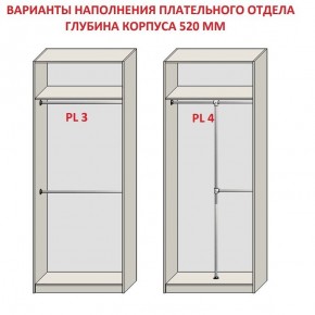 Шкаф распашной серия «ЗЕВС» (PL3/С1/PL2) в Тарко-Сале - tarko-sale.ok-mebel.com | фото 10