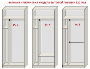 Шкаф распашной серия «ЗЕВС» (PL3/С1/PL2) в Тарко-Сале - tarko-sale.ok-mebel.com | фото 5