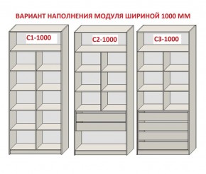 Шкаф распашной серия «ЗЕВС» (PL3/С1/PL2) в Тарко-Сале - tarko-sale.ok-mebel.com | фото 7