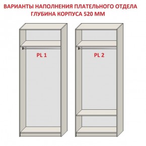 Шкаф распашной серия «ЗЕВС» (PL3/С1/PL2) в Тарко-Сале - tarko-sale.ok-mebel.com | фото 9