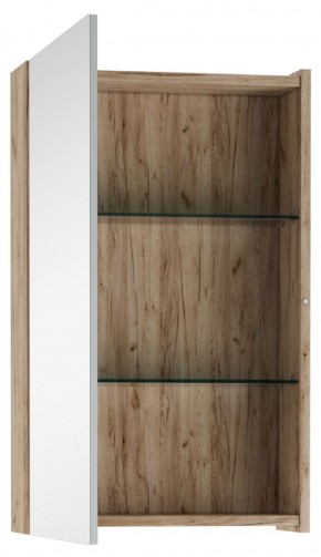 Шкаф-зеркало Craft 45 левый/правый Домино (DCr2211HZ) в Тарко-Сале - tarko-sale.ok-mebel.com | фото 2