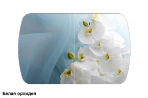 Стол Бостон 900*600 (опоры Брифинг) Стекло/фотопечать Белая Орхидея в Тарко-Сале - tarko-sale.ok-mebel.com | фото