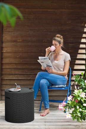 Столик-холодильник Кул-Стул (Cool stool) графит в Тарко-Сале - tarko-sale.ok-mebel.com | фото