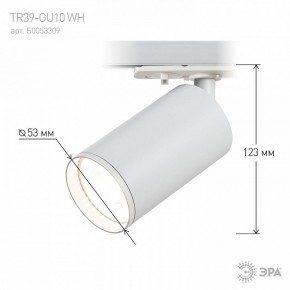 Светильник на штанге Эра  TR39-GU10 WH в Тарко-Сале - tarko-sale.ok-mebel.com | фото 7