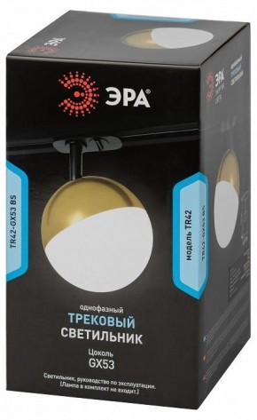 Светильник на штанге Эра  TR42-GX53 BS в Тарко-Сале - tarko-sale.ok-mebel.com | фото 6