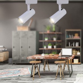 Светильник на штанге Эра  TR5-20 COB WH в Тарко-Сале - tarko-sale.ok-mebel.com | фото 4