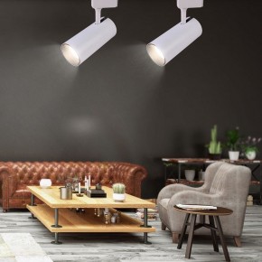 Светильник на штанге Эра  TR5-30 COB WH в Тарко-Сале - tarko-sale.ok-mebel.com | фото 5