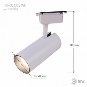 Светильник на штанге Эра  TR5-30 COB WH в Тарко-Сале - tarko-sale.ok-mebel.com | фото 6