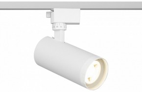 Светильник на штанге Эра  TR59 - 2040 WH в Тарко-Сале - tarko-sale.ok-mebel.com | фото