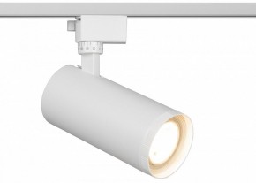 Светильник на штанге Эра  TR59 - 3030 WH в Тарко-Сале - tarko-sale.ok-mebel.com | фото