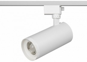 Светильник на штанге Эра  TR59 - 3030 WH в Тарко-Сале - tarko-sale.ok-mebel.com | фото 2