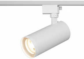 Светильник на штанге Эра  TR59 - 3030 WH в Тарко-Сале - tarko-sale.ok-mebel.com | фото 5