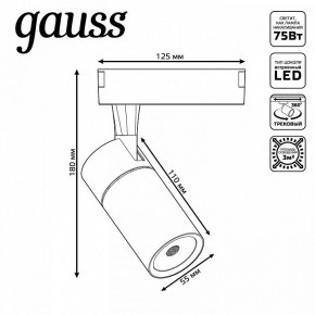 Светильник на штанге Gauss Track Light TR060 в Тарко-Сале - tarko-sale.ok-mebel.com | фото 5