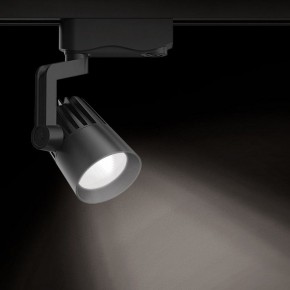 Светильник на штанге Gauss Track Light TR061 в Тарко-Сале - tarko-sale.ok-mebel.com | фото 2