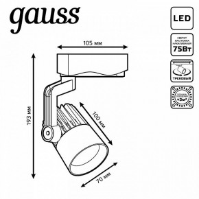 Светильник на штанге Gauss Track Light TR061 в Тарко-Сале - tarko-sale.ok-mebel.com | фото 6
