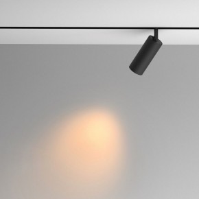 Светильник на штанге Maytoni Artisan TR097-2-12W2.7K-M-BB в Тарко-Сале - tarko-sale.ok-mebel.com | фото 4