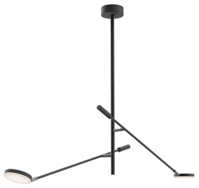 Светильник на штанге Maytoni Fad MOD070CL-L15B3K1 в Тарко-Сале - tarko-sale.ok-mebel.com | фото