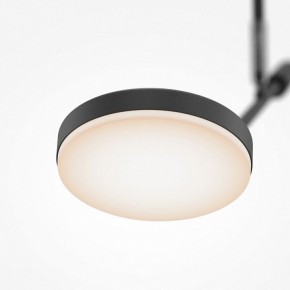 Светильник на штанге Maytoni Fad MOD070CL-L8B3K в Тарко-Сале - tarko-sale.ok-mebel.com | фото 4