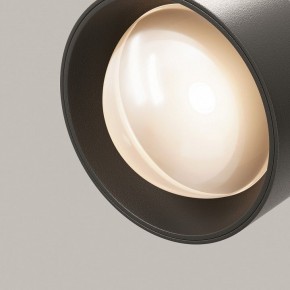 Светильник на штанге Maytoni Lens TR217-2-15W3K-B в Тарко-Сале - tarko-sale.ok-mebel.com | фото 12