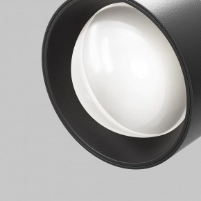 Светильник на штанге Maytoni Lens TR217-4-15WTW-DD-B в Тарко-Сале - tarko-sale.ok-mebel.com | фото 12