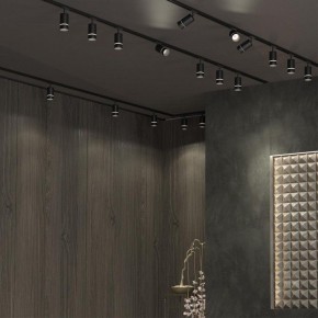 Светильник на штанге Novotech Elina 370777 в Тарко-Сале - tarko-sale.ok-mebel.com | фото 4