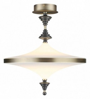 Светильник на штанге Odeon Light Ula 5404/43CL в Тарко-Сале - tarko-sale.ok-mebel.com | фото 2