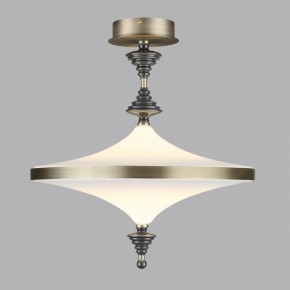 Светильник на штанге Odeon Light Ula 5404/43CL в Тарко-Сале - tarko-sale.ok-mebel.com | фото 3