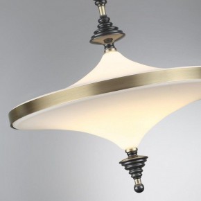 Светильник на штанге Odeon Light Ula 5404/43CL в Тарко-Сале - tarko-sale.ok-mebel.com | фото 6
