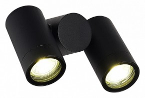 Светильник на штанге ST-Luce Ecollo SL9011.402.02 в Тарко-Сале - tarko-sale.ok-mebel.com | фото 3