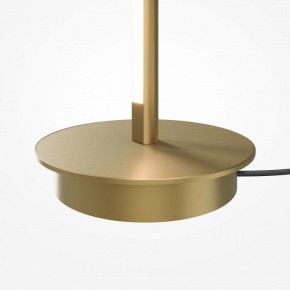 Торшер Maytoni Thin MOD395FL-L28BS3K в Тарко-Сале - tarko-sale.ok-mebel.com | фото 7