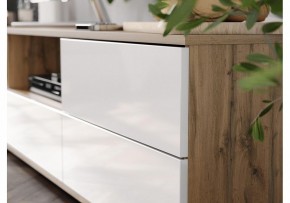 Тумба под ТВ Маллоу в Тарко-Сале - tarko-sale.ok-mebel.com | фото 4