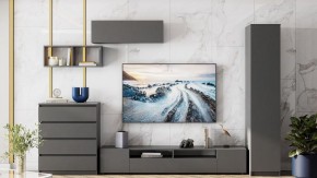 Тумба под ТВ Сибити в Тарко-Сале - tarko-sale.ok-mebel.com | фото 3