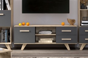 Тумба под ТВ Вега Скандинавия в Тарко-Сале - tarko-sale.ok-mebel.com | фото 7