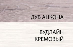 Тумба RTV 1V2D1S, OLIVIA, цвет вудлайн крем/дуб анкона в Тарко-Сале - tarko-sale.ok-mebel.com | фото 5