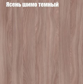 ВЕНЕЦИЯ Стенка (3400) ЛДСП в Тарко-Сале - tarko-sale.ok-mebel.com | фото 7
