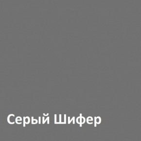 Юнона Шкаф торцевой 13.221 в Тарко-Сале - tarko-sale.ok-mebel.com | фото 2